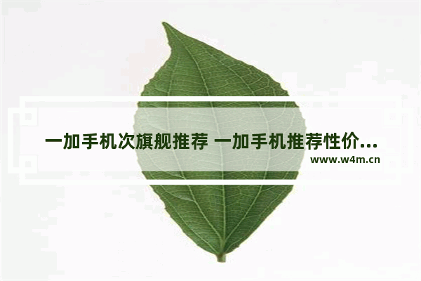 一加手机次旗舰推荐 一加手机推荐性价比推荐