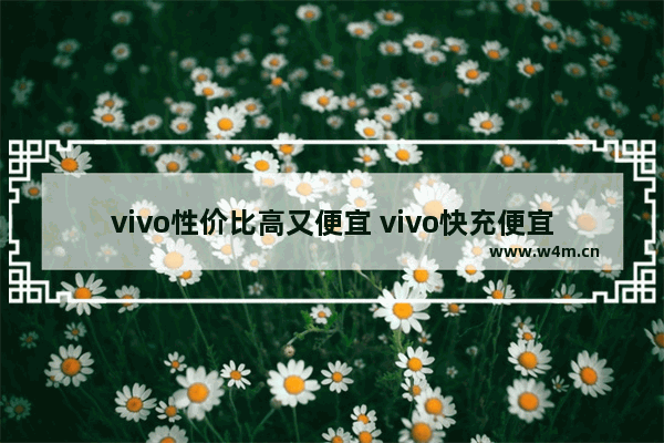 vivo性价比高又便宜 vivo快充便宜手机推荐哪款