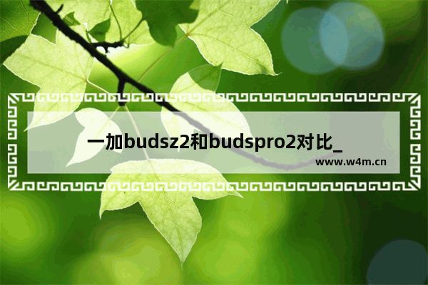 一加budsz2和budspro2对比_一加蓝牙怎么关闭入耳检测