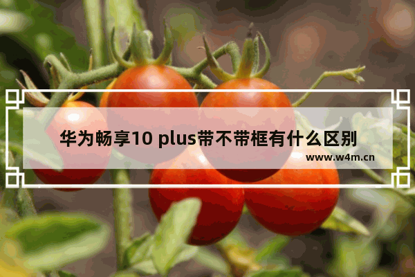 华为畅享10 plus带不带框有什么区别 直框手机推荐