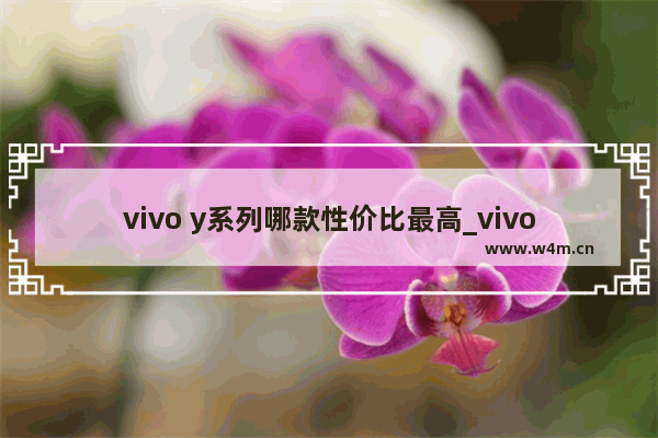 vivo y系列哪款性价比最高_vivoY系列最好的是哪款手机