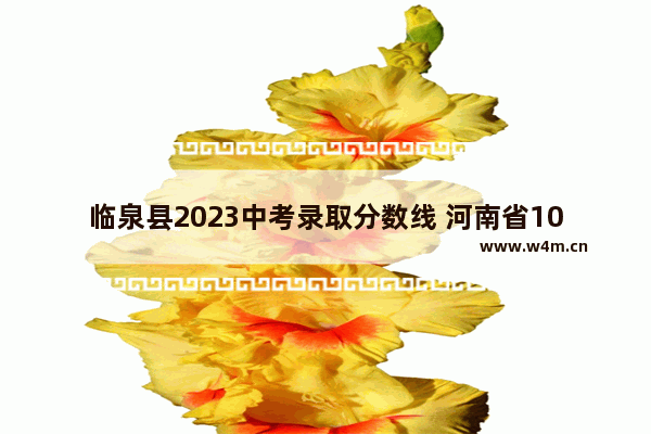 临泉县2023中考录取分数线 河南省1018高考分数线