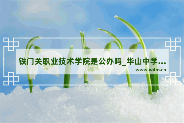 铁门关职业技术学院是公办吗_华山中学铁门关学校怎么样