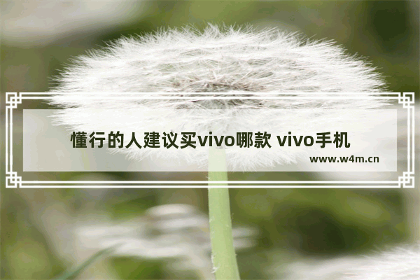 懂行的人建议买vivo哪款 vivo手机推荐哪一款好一点