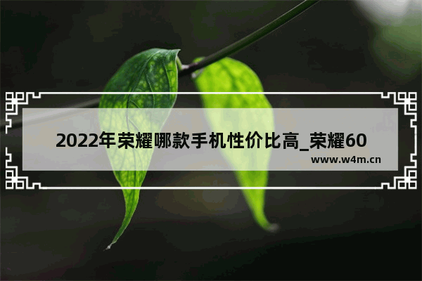 2022年荣耀哪款手机性价比高_荣耀60性价比高吗