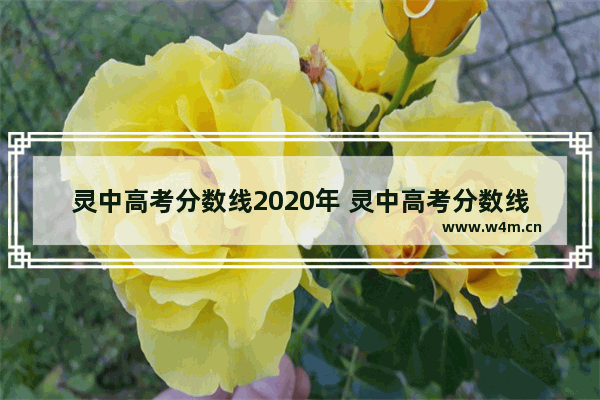 灵中高考分数线2020年 灵中高考分数线2020年