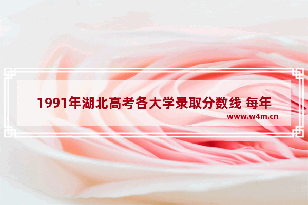 1991年湖北高考各大学录取分数线 每年湖北省高考分数线