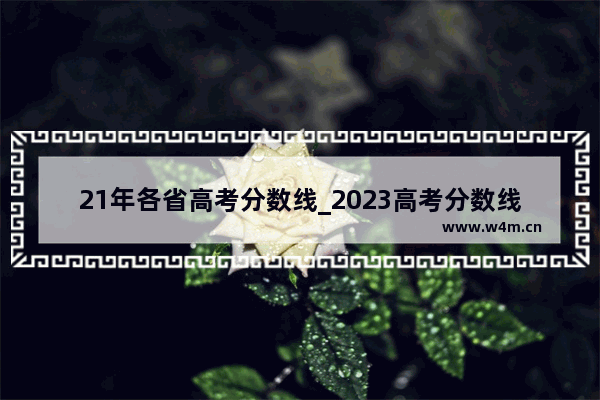 21年各省高考分数线_2023高考分数线什么时候可以查询