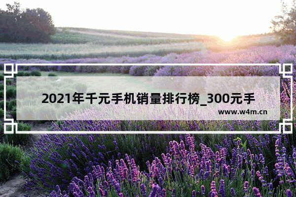 2021年千元手机销量排行榜_300元手机性价比之王