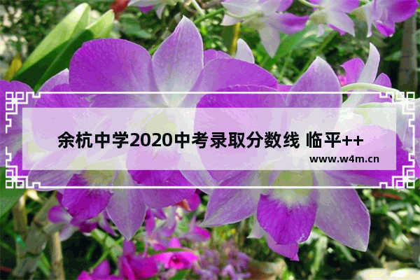 余杭中学2020中考录取分数线 临平++++分数线