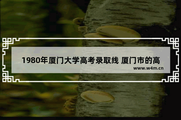 1980年厦门大学高考录取线 厦门市的高考分数线