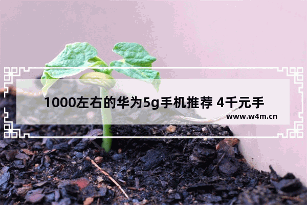 1000左右的华为5g手机推荐 4千元手机推荐华为手机型号