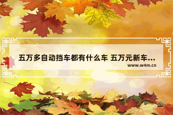 五万多自动挡车都有什么车 五万元新车推荐自动挡省油吗多少钱一辆