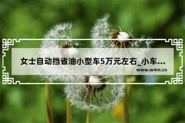 女士自动挡省油小型车5万元左右_小车省油自动挡5万左右买什么车