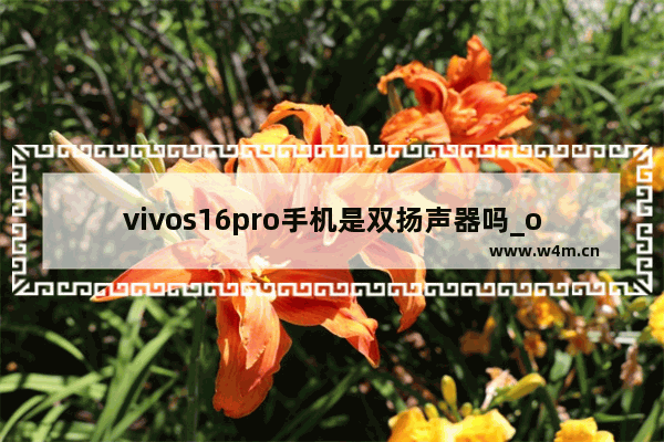 vivos16pro手机是双扬声器吗_oppo reno9 pro是不是双扬声器