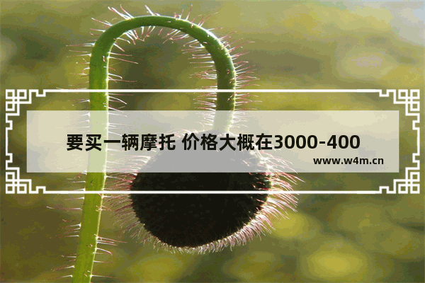 要买一辆摩托 价格大概在3000-4000 最好是踏板车 有没有好推荐 3千元到4千元手机推荐