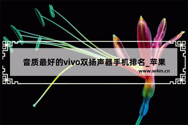 音质最好的vivo双扬声器手机排名_苹果12喇叭几个孔