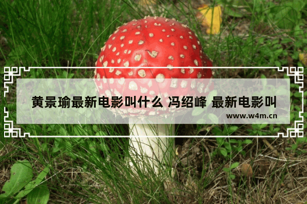 黄景瑜最新电影叫什么 冯绍峰 最新电影叫什么