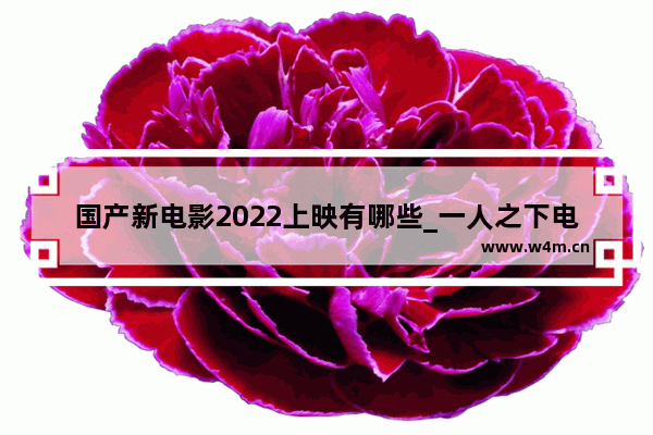 国产新电影2022上映有哪些_一人之下电影冯绍峰演谁