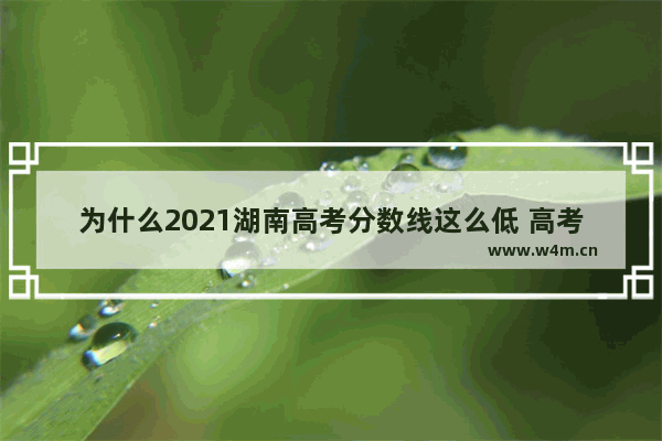 为什么2021湖南高考分数线这么低 高考分数线今年怎么这么低