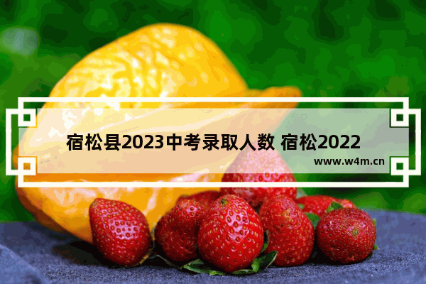 宿松县2023中考录取人数 宿松2022年高考分数线