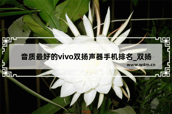 音质最好的vivo双扬声器手机排名_双扬声器什么意思