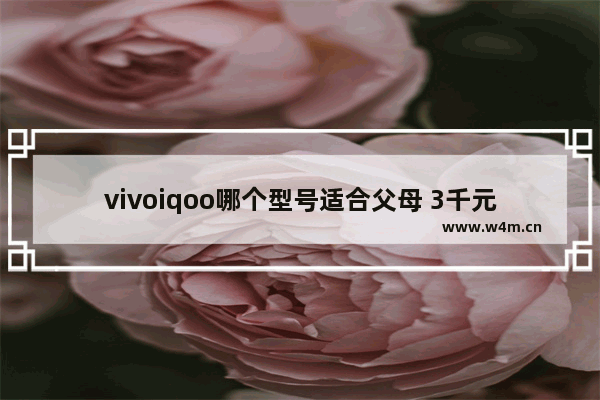 vivoiqoo哪个型号适合父母 3千元手机推荐父母用哪款