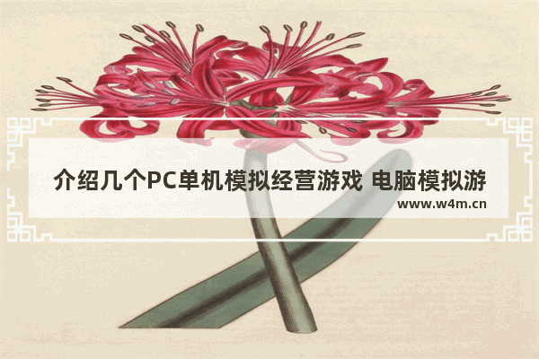 介绍几个PC单机模拟经营游戏 电脑模拟游戏推荐