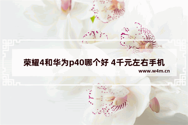 荣耀4和华为p40哪个好 4千元左右手机推荐5g