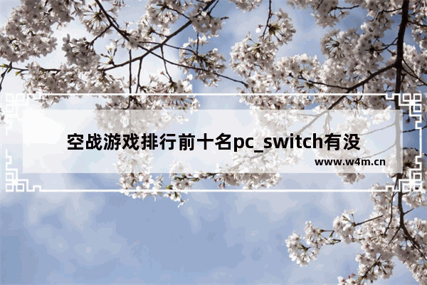 空战游戏排行前十名pc_switch有没有什么飞行模拟游戏