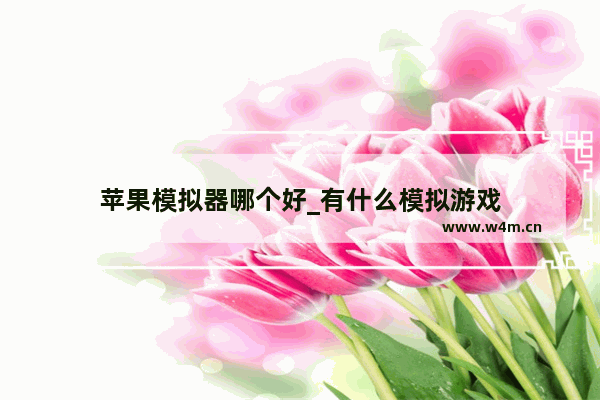 苹果模拟器哪个好_有什么模拟游戏