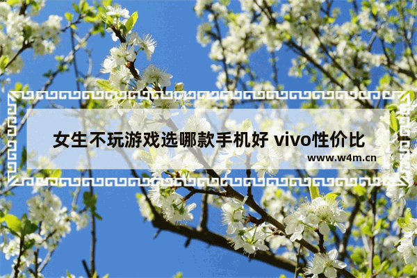 女生不玩游戏选哪款手机好 vivo性价比手机推荐女生用