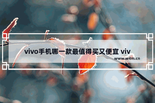 vivo手机哪一款最值得买又便宜 vivo平价新款手机推荐哪款好用