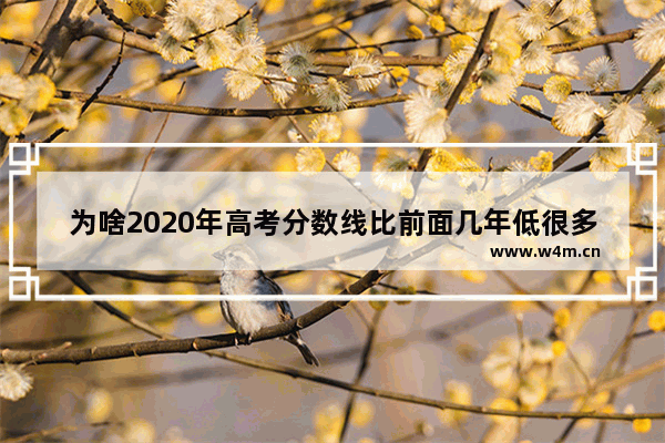 为啥2020年高考分数线比前面几年低很多 高考分数线为啥那么低呢