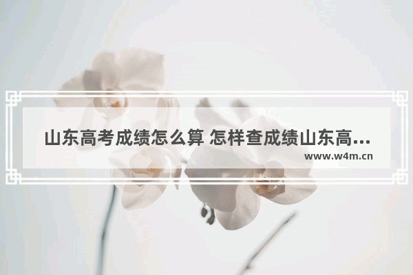 山东高考成绩怎么算 怎样查成绩山东高考分数线