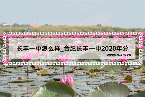 长丰一中怎么样_合肥长丰一中2020年分数线