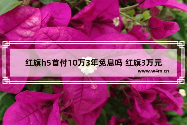 红旗h5首付10万3年免息吗 红旗3万元左右新车推荐哪款车型呢