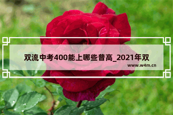 双流中考400能上哪些普高_2021年双流中考录取分数线