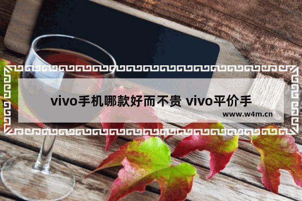 vivo手机哪款好而不贵 vivo平价手机好用手机推荐一下