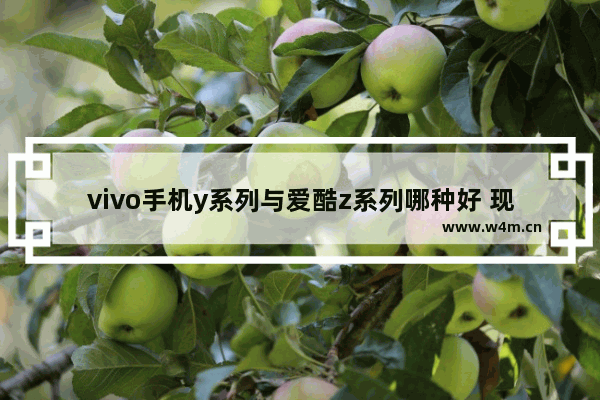 vivo手机y系列与爱酷z系列哪种好 现在vivo手机推荐平价机型