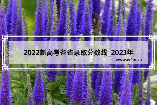 2022新高考各省录取分数线_2023年高考分数怎么换算成2022的