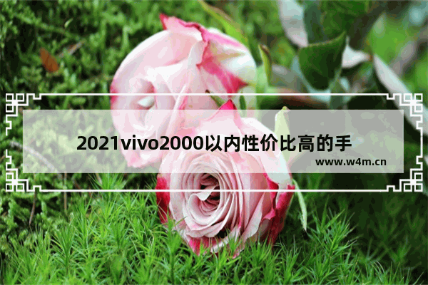 2021vivo2000以内性价比高的手机 2千至3千手机推荐