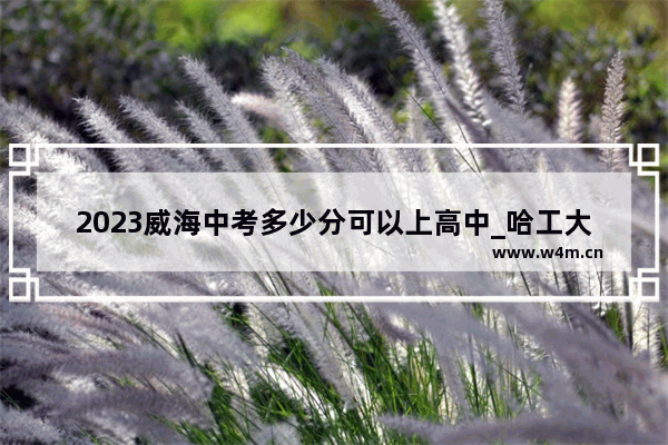 2023威海中考多少分可以上高中_哈工大威海新高考3+1+2录取分数线