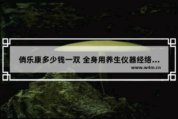 俏乐康多少钱一双 全身用养生仪器经络疏通仪