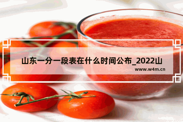 山东一分一段表在什么时间公布_2022山东一分一段表什么时间公布