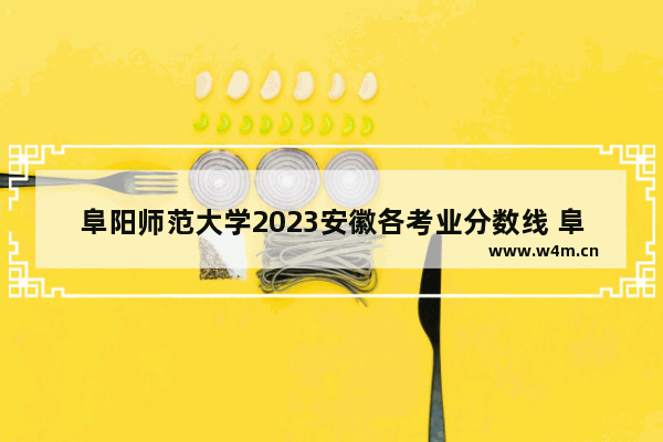 阜阳师范大学2023安徽各考业分数线 阜阳师范学对口高考分数线