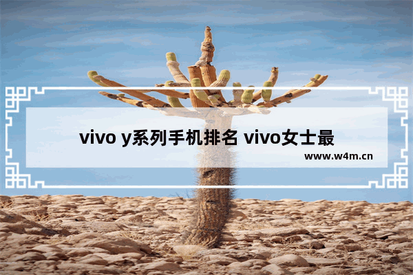 vivo y系列手机排名 vivo女士最新手机推荐