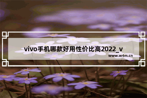 vivo手机哪款好用性价比高2022_vivo旗舰机型哪款性价比最高