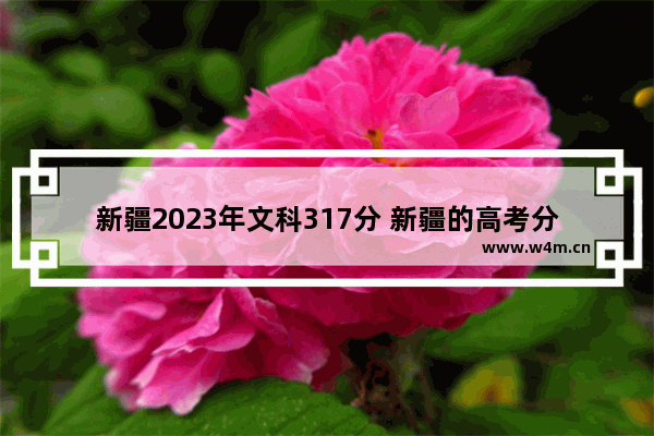 新疆2023年文科317分 新疆的高考分数线出来了