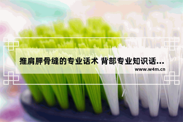 推肩胛骨缝的专业话术 背部专业知识话术养生话术